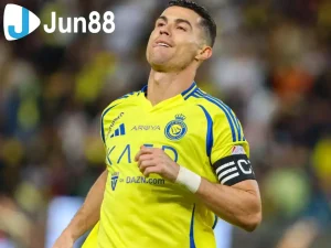 al 201508